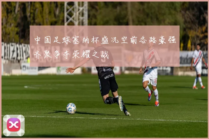 中国足球塞纳杯盛况空前各路豪强齐聚争夺荣耀之战